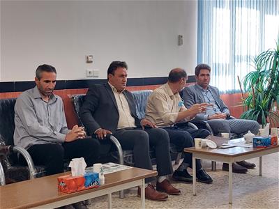 جلسه کار گروه آرد و نان