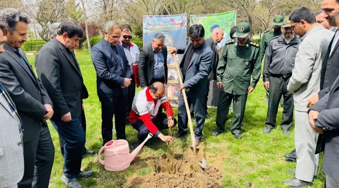 آیین غرس نهال و پیوستن به پویش ملی «سرو ایران» در شهرستان چهاربرج برگزار شد