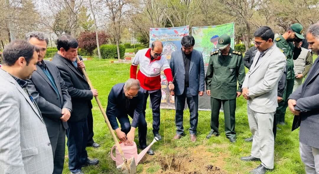 آیین غرس نهال و پیوستن به پویش ملی «سرو ایران» در شهرستان چهاربرج برگزار شد